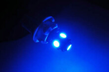 Led T10 - Culot W5W - Bleue