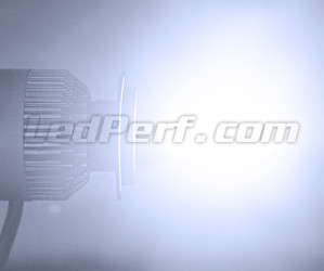 Ampoule led H4 ELISTAR V10 haute puissance 6000K au meilleurs prix chez