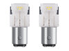 Ampoules LED P21/5W Osram LEDriving® SL White 6000K - BAY15d