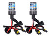 Ampoules Xenon HID Hyundai I10 II