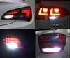 Pack leds (blanc 6000K) feux de recul pour Dacia Sandero